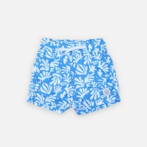 BAÑADOR NIÑO - Deep Sea Corals