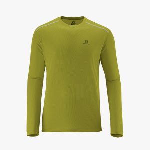 Camiseta Salomon Stroll ML MASC VERDE