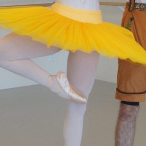 Os Tutus de Prática Allegra